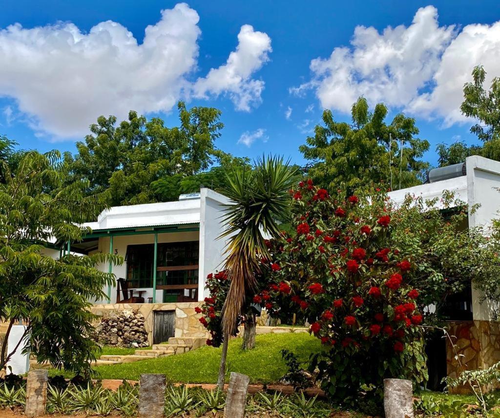 Tambuti Lodge Rundu Zewnętrze zdjęcie