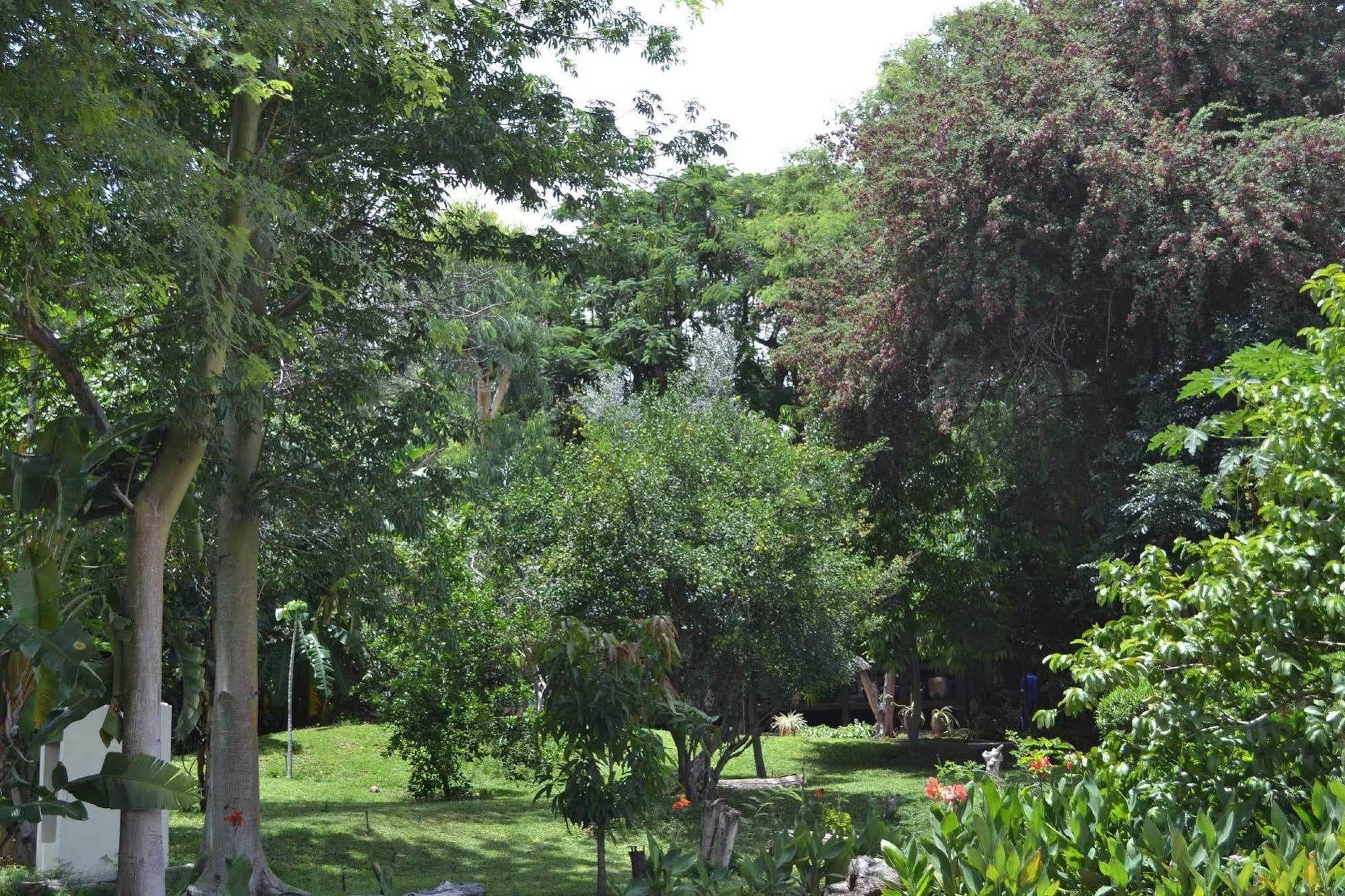 Tambuti Lodge Rundu Zewnętrze zdjęcie