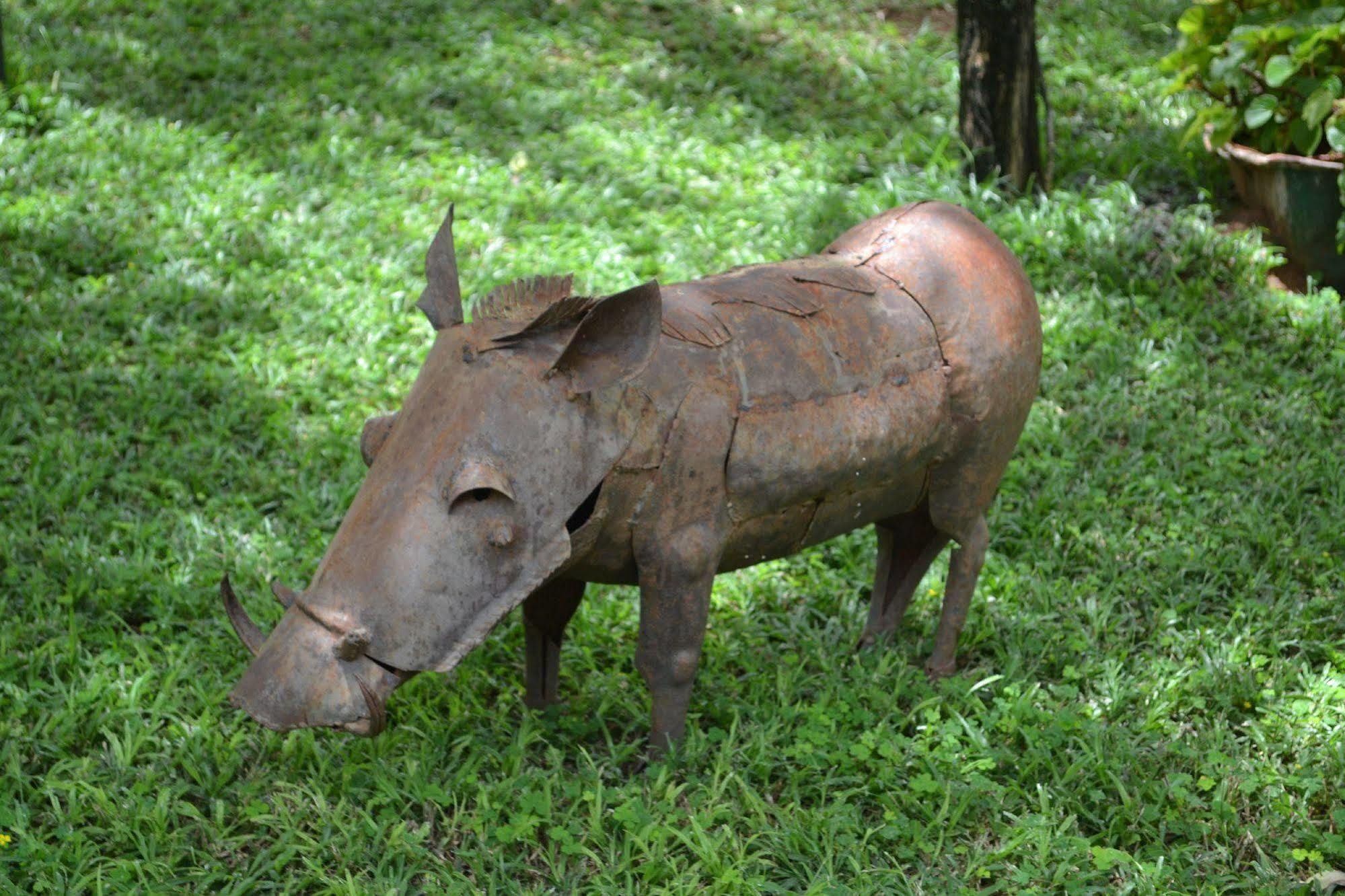 Tambuti Lodge Rundu Zewnętrze zdjęcie